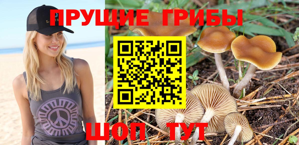 Псилоцибиновые грибы мухоморы Кувандык