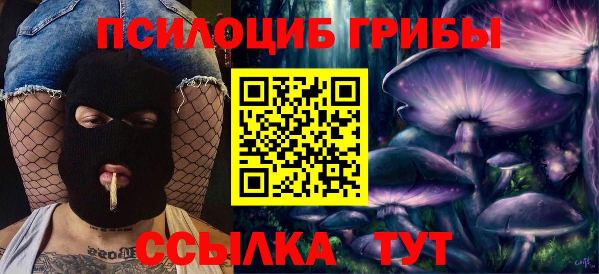 Псилоцибиновые грибы ЛСД  Галлюциногенные грибы мухоморы  Кувандык  что такое наркотик  Вход с VPN 